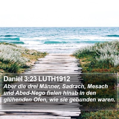Daniel 3:23 LUTH1912 Bible Verse Image