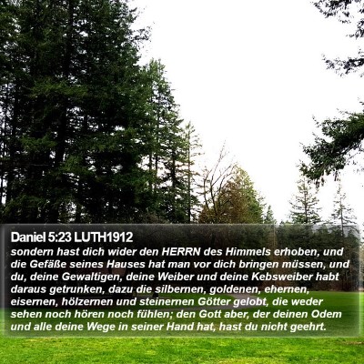 Daniel 5:23 LUTH1912 Bible Verse Image