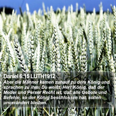 Daniel 6:15 LUTH1912 Bible Verse Image