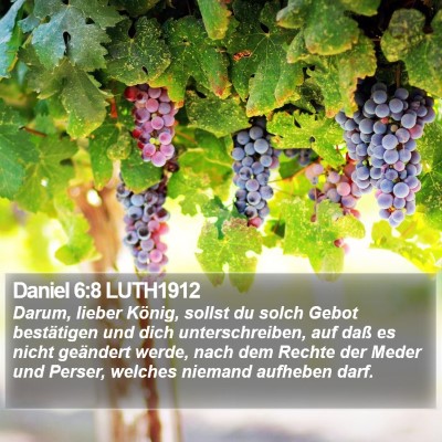 Daniel 6:8 LUTH1912 Bible Verse Image