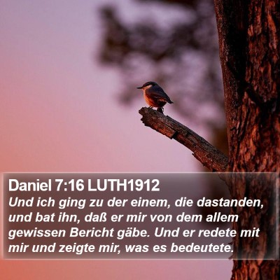 Daniel 7:16 LUTH1912 Bible Verse Image