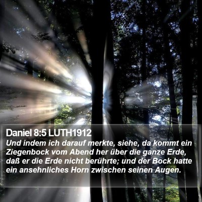 Daniel 8:5 LUTH1912 Bible Verse Image