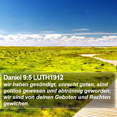 Daniel 9:5 LUTH1912 Bible Verse Image