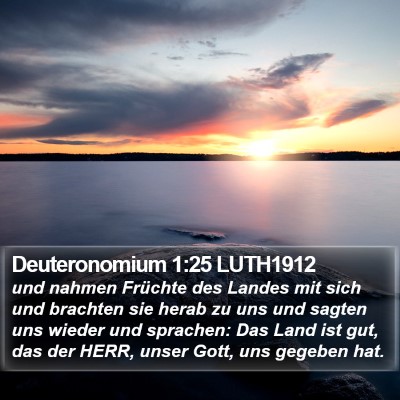 Deuteronomium 1:25 LUTH1912 Bible Verse Image