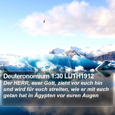 Deuteronomium 1:30 LUTH1912 Bible Verse Image