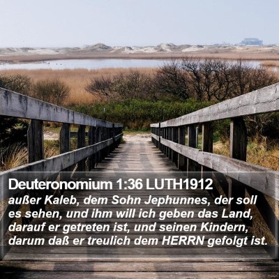 Deuteronomium 1:36 LUTH1912 Bible Verse Image