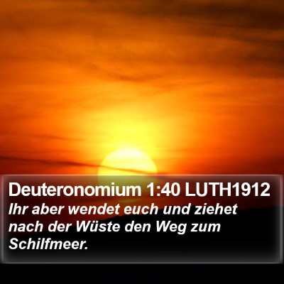 Deuteronomium 1:40 LUTH1912 Bible Verse Image