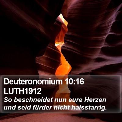 Deuteronomium 10:16 LUTH1912 Bible Verse Image