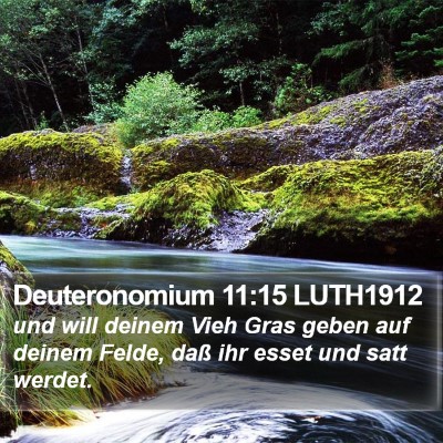 Deuteronomium 11:15 LUTH1912 Bible Verse Image