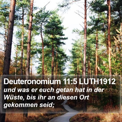 Deuteronomium 11:5 LUTH1912 Bible Verse Image
