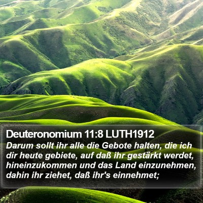 Deuteronomium 11:8 LUTH1912 Bible Verse Image