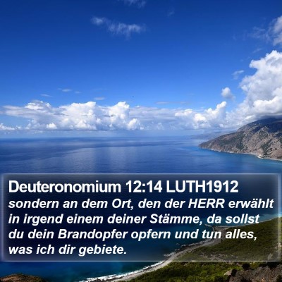 Deuteronomium 12:14 LUTH1912 Bible Verse Image