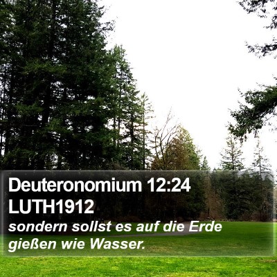 Deuteronomium 12:24 LUTH1912 Bible Verse Image