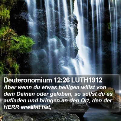 Deuteronomium 12:26 LUTH1912 Bible Verse Image