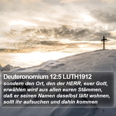 Deuteronomium 12:5 LUTH1912 Bible Verse Image