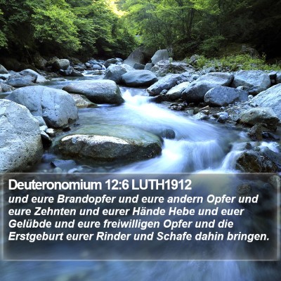 Deuteronomium 12:6 LUTH1912 Bible Verse Image