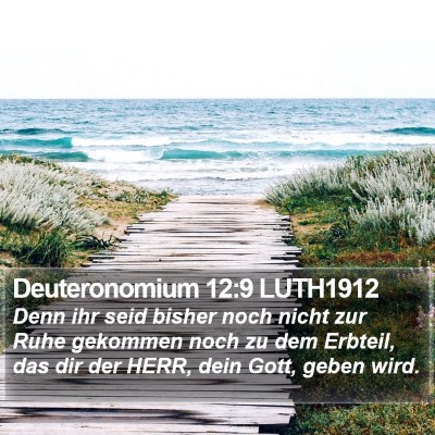 Deuteronomium 12:9 LUTH1912 Bible Verse Image