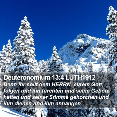 Deuteronomium 13:4 LUTH1912 Bible Verse Image
