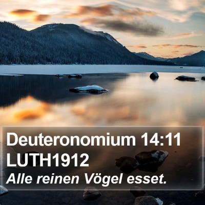 Deuteronomium 14:11 LUTH1912 Bible Verse Image