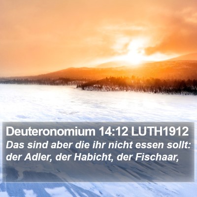 Deuteronomium 14:12 LUTH1912 Bible Verse Image