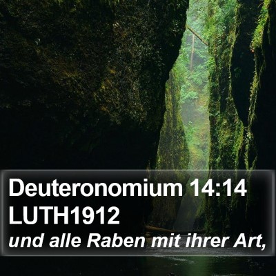 Deuteronomium 14:14 LUTH1912 Bible Verse Image