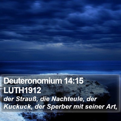 Deuteronomium 14:15 LUTH1912 Bible Verse Image