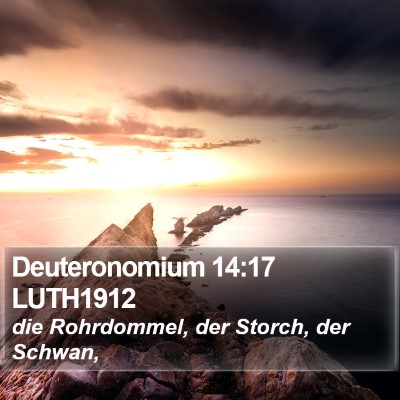 Deuteronomium 14:17 LUTH1912 Bible Verse Image