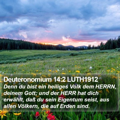 Deuteronomium 14:2 LUTH1912 Bible Verse Image