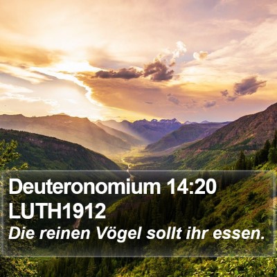 Deuteronomium 14:20 LUTH1912 Bible Verse Image
