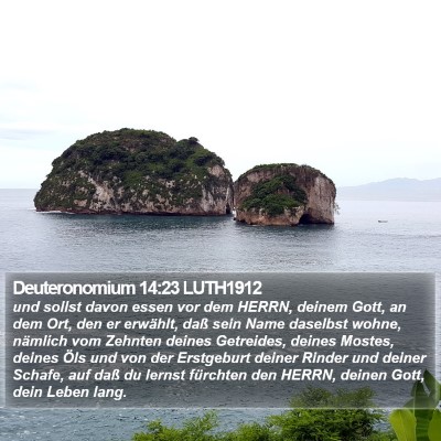 Deuteronomium 14:23 LUTH1912 Bible Verse Image