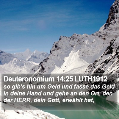 Deuteronomium 14:25 LUTH1912 Bible Verse Image