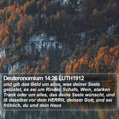 Deuteronomium 14:26 LUTH1912 Bible Verse Image