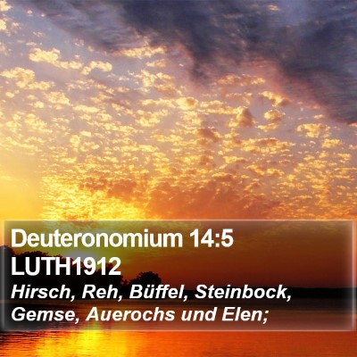 Deuteronomium 14:5 LUTH1912 Bible Verse Image