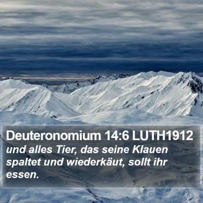 Deuteronomium 14:6 LUTH1912 Bible Verse Image