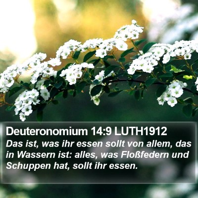Deuteronomium 14:9 LUTH1912 Bible Verse Image