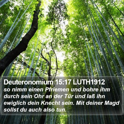 Deuteronomium 15:17 LUTH1912 Bible Verse Image