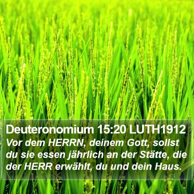 Deuteronomium 15:20 LUTH1912 Bible Verse Image