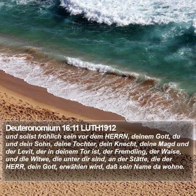 Deuteronomium 16:11 LUTH1912 Bible Verse Image