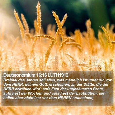 Deuteronomium 16:16 LUTH1912 Bible Verse Image