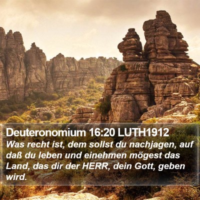 Deuteronomium 16:20 LUTH1912 Bible Verse Image