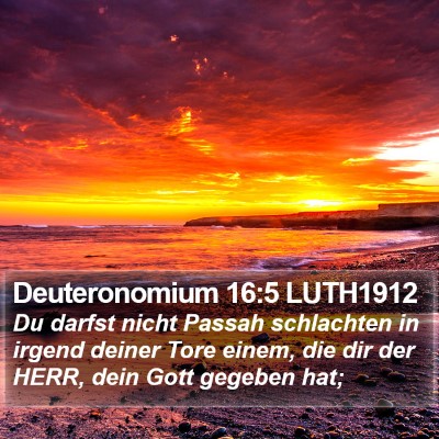 Deuteronomium 16:5 LUTH1912 Bible Verse Image