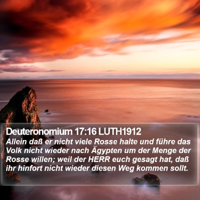 Deuteronomium 17:16 LUTH1912 Bible Verse Image