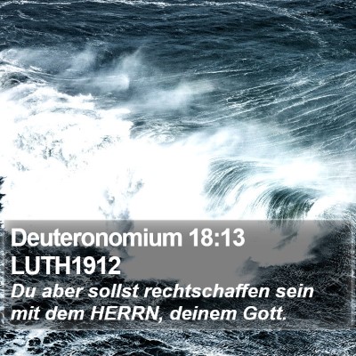 Deuteronomium 18:13 LUTH1912 Bible Verse Image