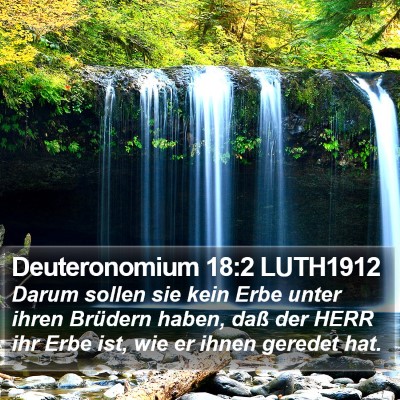 Deuteronomium 18:2 LUTH1912 Bible Verse Image