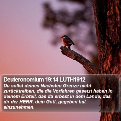 Deuteronomium 19:14 LUTH1912 Bible Verse Image