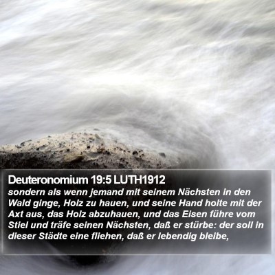 Deuteronomium 19:5 LUTH1912 Bible Verse Image