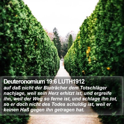 Deuteronomium 19:6 LUTH1912 Bible Verse Image