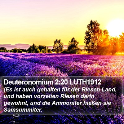 Deuteronomium 2:20 LUTH1912 Bible Verse Image