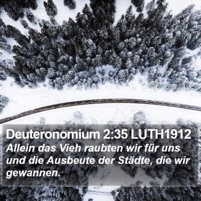 Deuteronomium 2:35 LUTH1912 Bible Verse Image