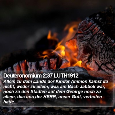 Deuteronomium 2:37 LUTH1912 Bible Verse Image